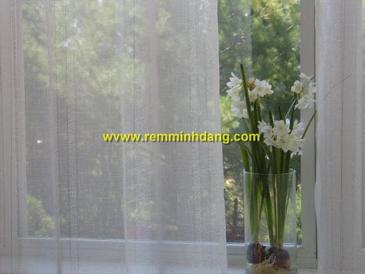 bộ sưu tập sheer voan, bộ sưu tập voan rèm cửa