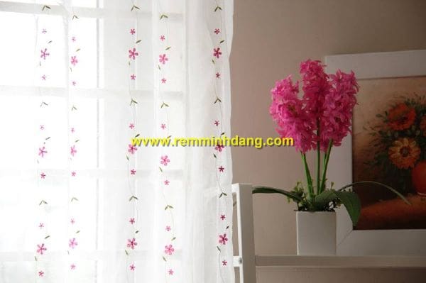 bộ sưu tập sheer voan, bộ sưu tập voan rèm cửa